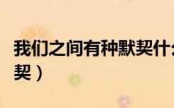 我们之间有种默契什么意思（我们之间有种默契）