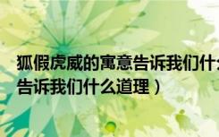 狐假虎威的寓意告诉我们什么道理二年级（狐假虎威的寓意告诉我们什么道理）