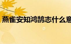 燕雀安知鸿鹄志什么意思（燕雀安知鸿鹄志）