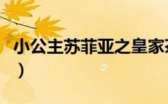 小公主苏菲亚之皇家茶会（冷公主与皇家茶会）