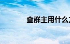 查群主用什么方法（查群网）