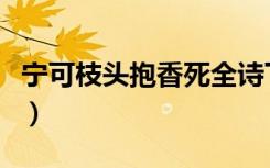 宁可枝头抱香死全诗下一句（宁可枝头抱香死）