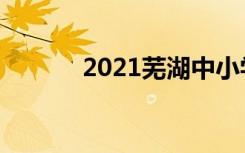 2021芜湖中小学暑假时间安排