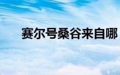 赛尔号桑谷来自哪（赛尔号桑特莫斯）