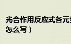 光合作用反应式各元素去向（光合作用反应式怎么写）