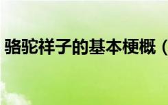 骆驼祥子的基本梗概（骆驼祥子的基本线索）