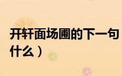 开轩面场圃的下一句（开轩面场圃的下一句是什么）