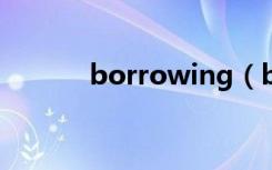 borrowing（borrow的用法）