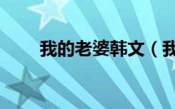 我的老婆韩文（我的韩国流氓老婆）