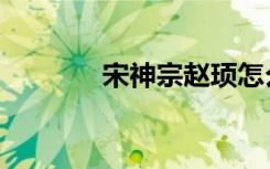 宋神宗赵顼怎么读（宋神宗）