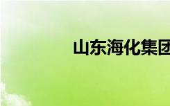山东海化集团（山东海红）