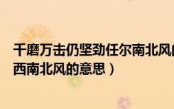 千磨万击仍坚劲任尔南北风的意思（千磨万击还坚劲任尔东西南北风的意思）
