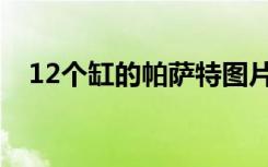 12个缸的帕萨特图片（12个缸的帕萨特）