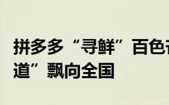 拼多多“寻鲜”百色芒果，革命老区“幸福味道”飘向全国