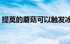 提莫的蘑菇可以触发冰川增幅吗（提莫的窝）