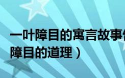 一叶障目的寓言故事告诉我们什么道理（一叶障目的道理）