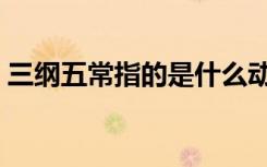 三纲五常指的是什么动物（三纲五常指什么）