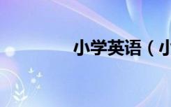 小学英语（小学英语小报）