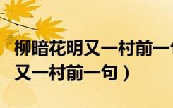 柳暗花明又一村前一句是什么意思（柳暗花明又一村前一句）