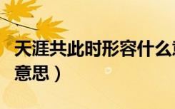 天涯共此时形容什么意思（天涯共此时表达的意思）