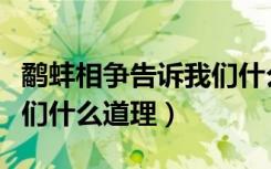 鹬蚌相争告诉我们什么道理（鹬蚌相争告诉我们什么道理）