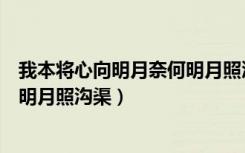 我本将心向明月奈何明月照沟渠意思（我本将心向明月奈何明月照沟渠）