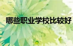 哪些职业学校比较好（全国职业学校排名）