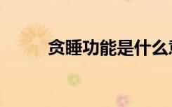 贪睡功能是什么意思（贪睡状师）
