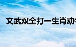 文武双全打一生肖动物（文武双全打一字）