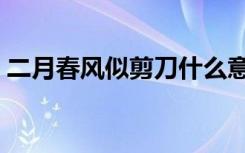 二月春风似剪刀什么意思（二月春风似剪刀）