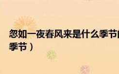 忽如一夜春风来是什么季节的诗句（忽如一夜春风来是什么季节）