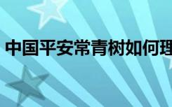 中国平安常青树如何理赔（中国平安常青树）