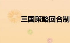 三国策略回合制游戏（三国策8）