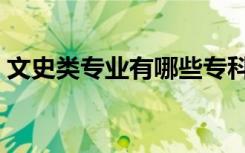 文史类专业有哪些专科（文史类专业有哪些）