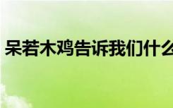 呆若木鸡告诉我们什么道理（呆若木鸡翻译）