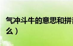 气冲斗牛的意思和拼音（气冲斗牛的意思是什么）