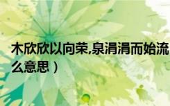 木欣欣以向荣,泉涓涓而始流（木欣欣向荣泉涓涓而始流是什么意思）