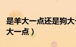 是羊大一点还是狗大一点（是羊大一点还是狗大一点）