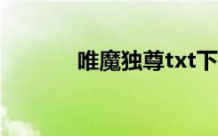 唯魔独尊txt下载（唯魔独尊）