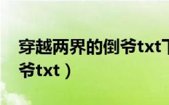 穿越两界的倒爷txt下载全集（穿越两界的倒爷txt）
