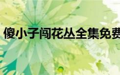 傻小子闯花丛全集免费下载（傻小子闯花丛）