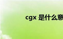 cgx 是什么意思（cgx rar）