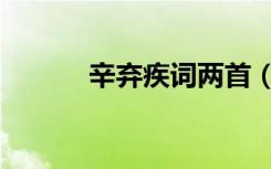 辛弃疾词两首（辛弃疾词两首）