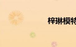 梓琳模特（梓琳）
