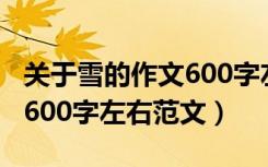 关于雪的作文600字左右初三（关于雪的作文600字左右范文）