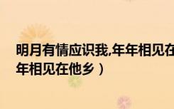 明月有情应识我,年年相见在他乡作者（明月有情应识我 年年相见在他乡）