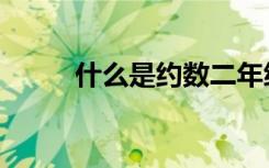 什么是约数二年级（什么是约数）