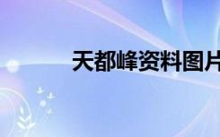 天都峰资料图片（天都峰资料）
