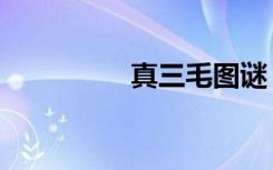 真三毛图谜（真三显血）