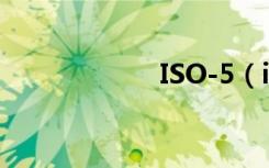 ISO-5（iso5 1 1）